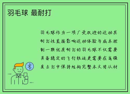 羽毛球 最耐打